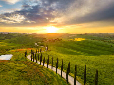 Rome to Florence travel options train and transfer